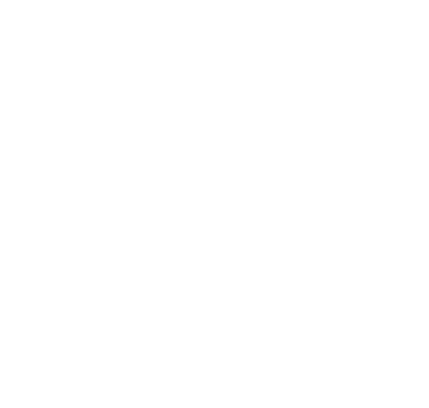 Nitro Service GmbH - Logo
